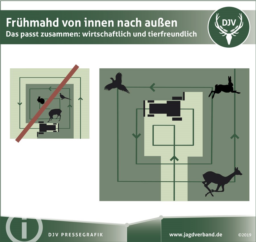 2019-04_Pressegrafik_Fruehmahd_von_innen_nach_aussen